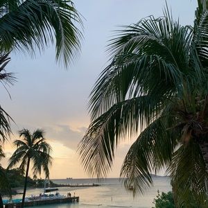 Meet your Posher, Eden